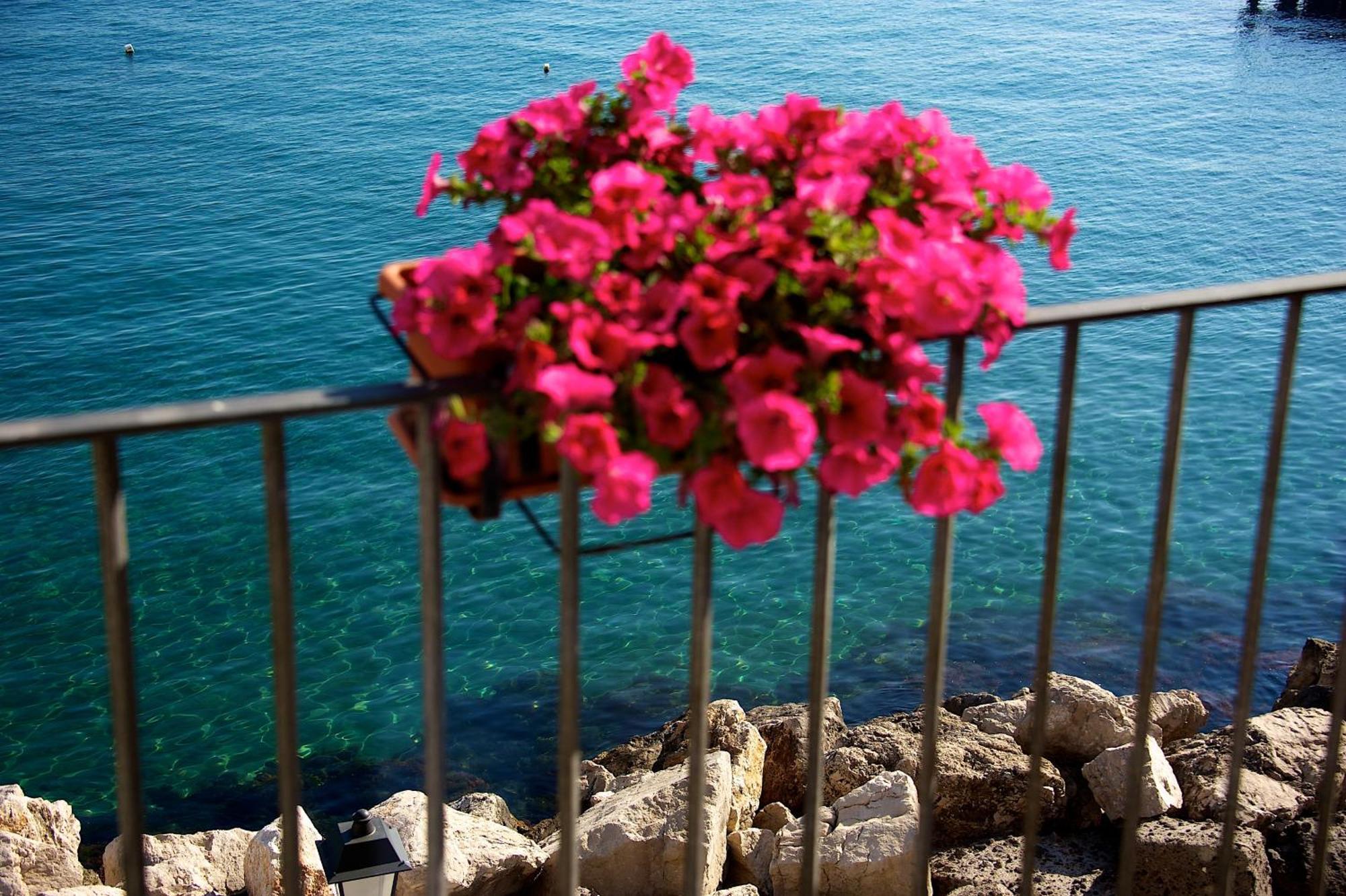 Villa Lieta Ischia Extérieur photo